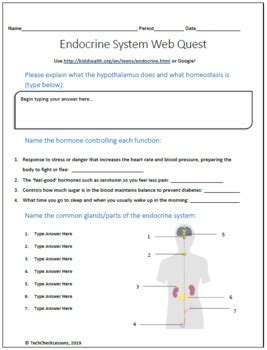 Read Online Endocrine System Webquest Answer Key 