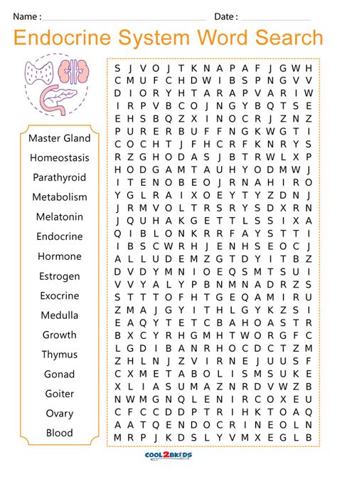 Full Download Endocrine System Word Search 