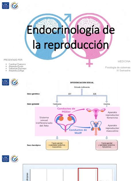 endocrinologia de la reproduccion pdf