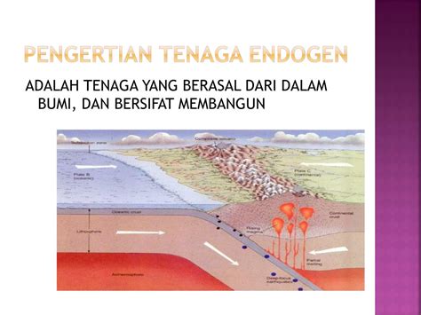 endogen adalah | Solidaritas khusus antara Vietnam dan Laos di