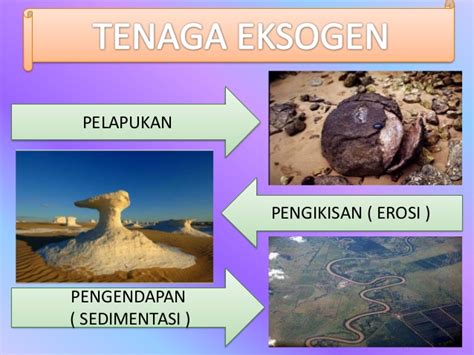 endogen dan eksogen | Thng rc inox 30 lt c p