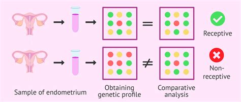 Endometrial Receptivity Array