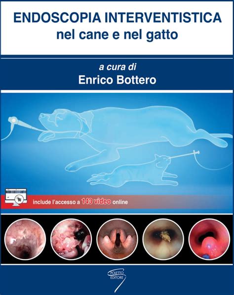 endoscopia cane prezzo