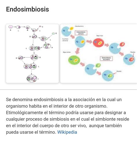 endosimbiosis-4