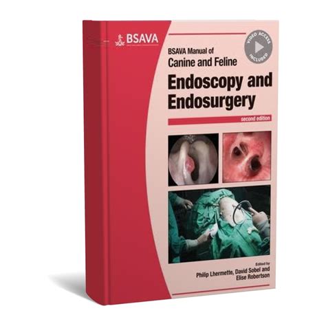 Endosurgery 1e