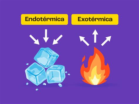 Endotermico E Exotermico