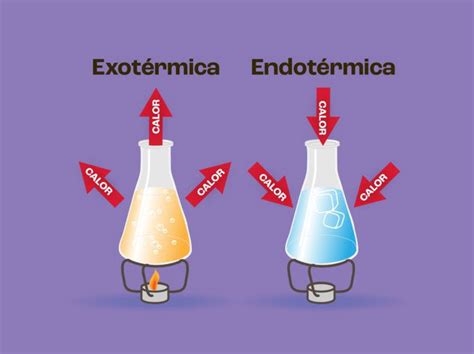 Endotérmica E Exotérmica