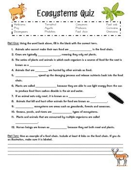 Energy And Ecosystems 5th Grade Science Worksheets And Energy Science 5th Grade Worksheet - Energy Science 5th Grade Worksheet