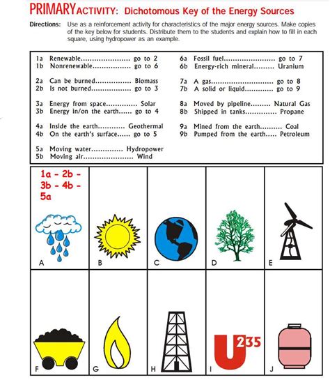 energy and life answer key