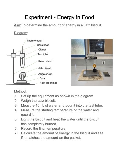 Energy Content In Foods Experiment Rsc Education Food Science Experiment - Food Science Experiment