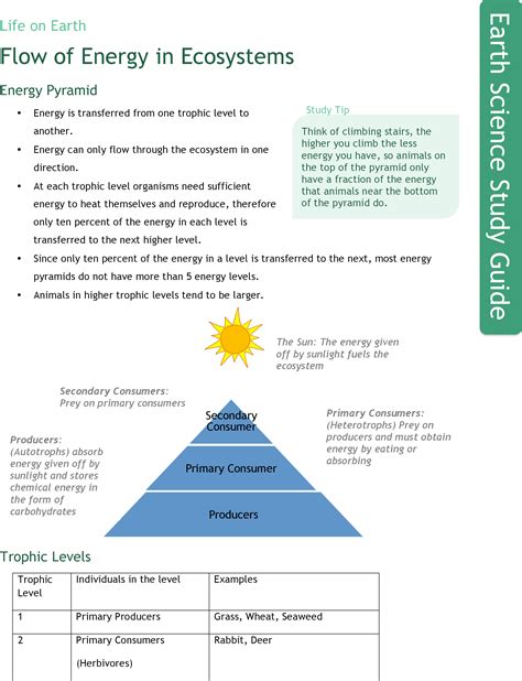 Energy Flow In Ecosystems Worksheet Changes In Ecosystems Worksheet - Changes In Ecosystems Worksheet