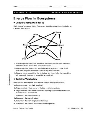 energy in ecosystems answer key