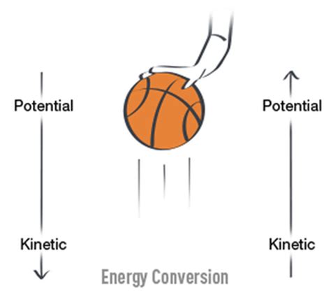 Energy Transference In A Bouncing Basketball Science Project Basketball Science Experiments - Basketball Science Experiments