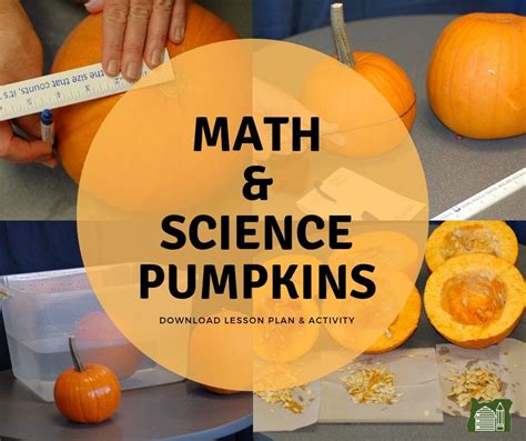 Engaging Math Amp Science Pumpkin Activities The Owl Science Activities With Pumpkins - Science Activities With Pumpkins