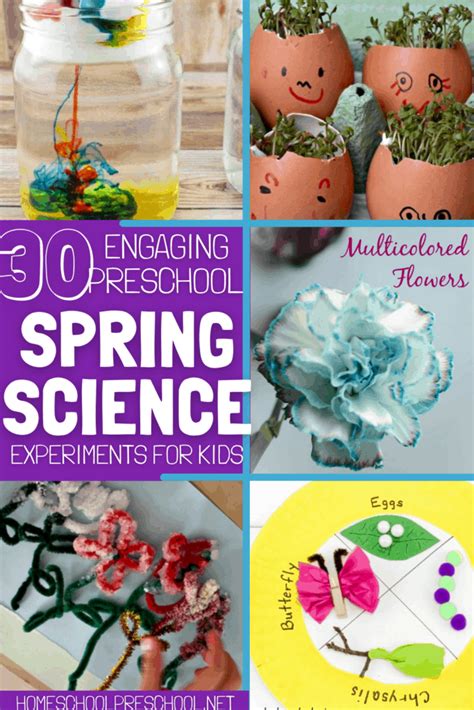 Engaging Spring Science Experiments For Preschoolers Homeschool Preschool Preschool Spring Science Activities - Preschool Spring Science Activities