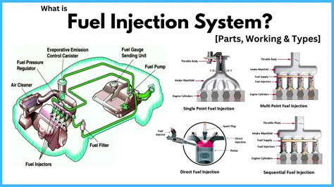 Engine Management And Fuel Injection Systems Pin Tables And Wiring Diagrams Alfa Romeo Mazda V 1 Haynes Professional Techbooks