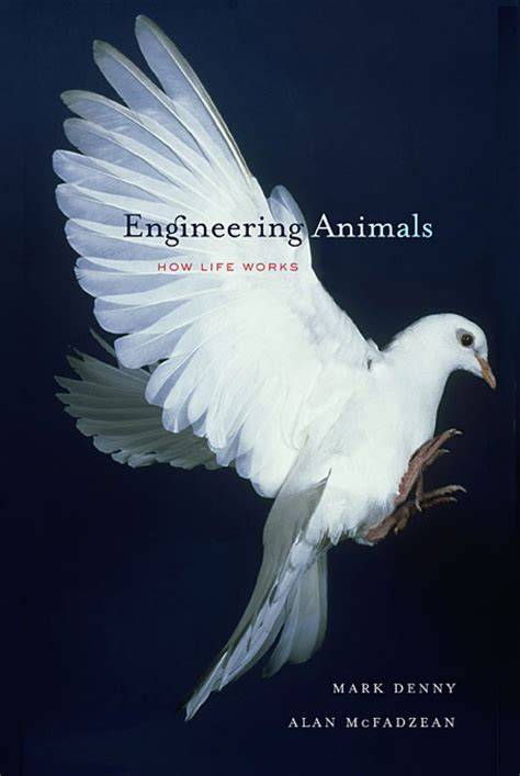 Engineering Animals How Life Works