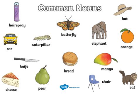 English Nouns Wikipedia Common And Proper Nouns Answer Key - Common And Proper Nouns Answer Key