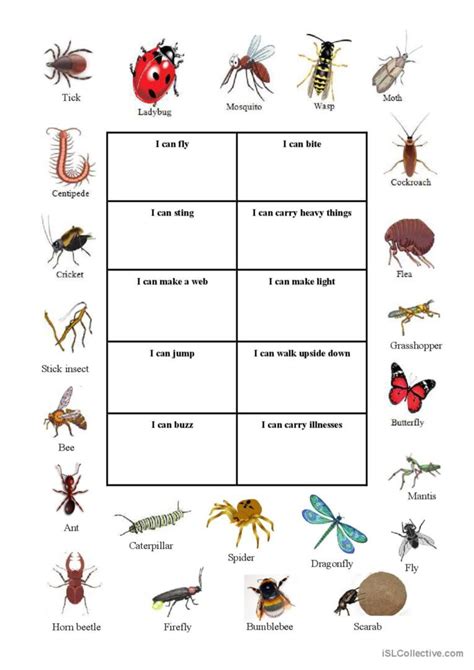 English Worksheets What Bugs Me Esl Printables Things That Bug Me Worksheet - Things That Bug Me Worksheet