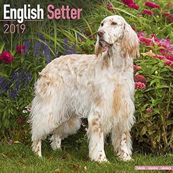 Read Online English Setter Calendar Dog Breed Calendars 2018 2019 Wall Calendars 16 Month By Avonside 