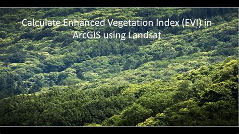 Enhanced Vegetation Index
