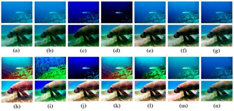 Read Online Enhancement Of Underwater Images A Review Ijcsit 