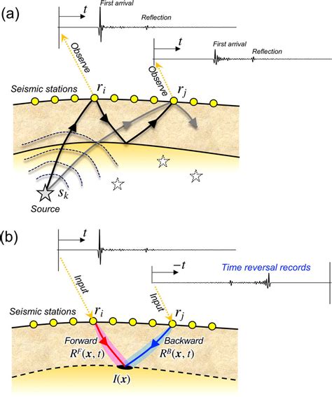 Enhancing Body Waves In Passive Seismic Reflection Interpretation Body Wave Science - Body Wave Science