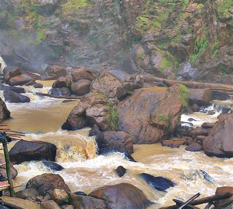 nature photo by Erich Gislason