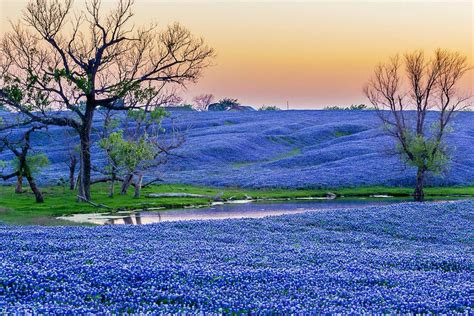 ennis texas