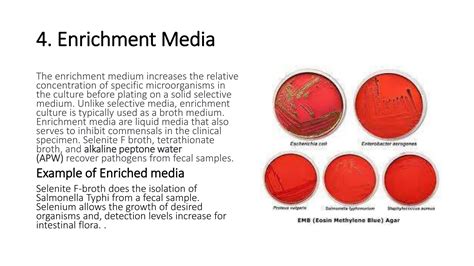 Enriched Media Examples