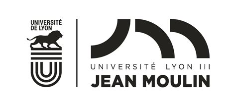 Ent Lyon 3