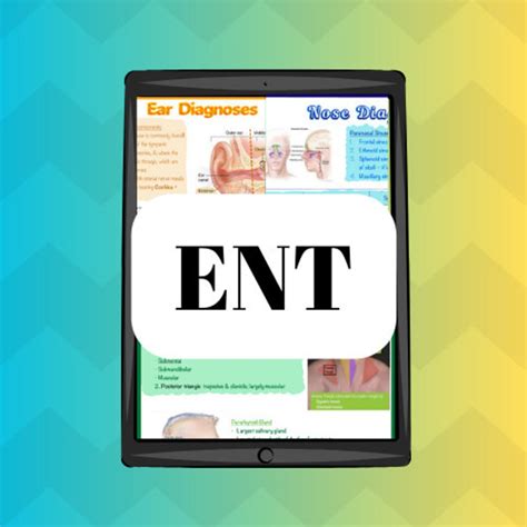 Read Online Ent Study Guide 