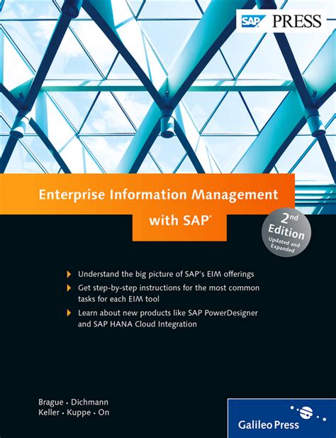 Download Enterprise Information Management With Sap 
