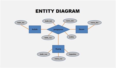 entity adalah | Domain Driven Design Phn 2 Viblo