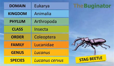 Read Entomology Science Olympiad Study Guide 