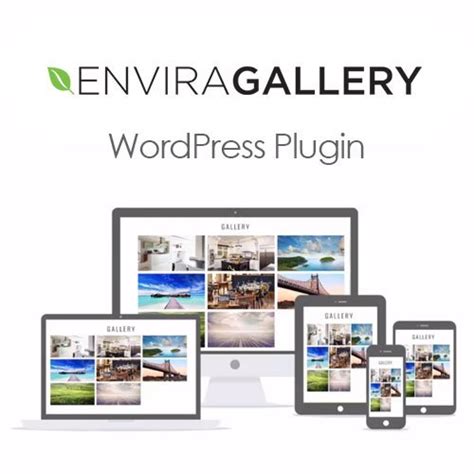 envira gallery plugin wordpress