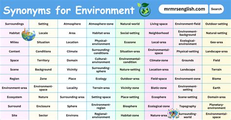 Environment Synonym