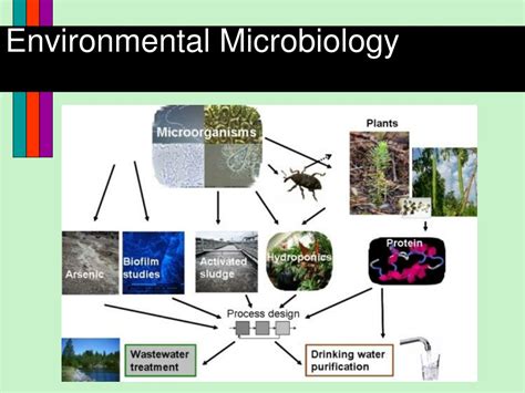 environmental microbiology lecture notes