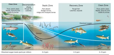 environmental science ch 18 concept review answers