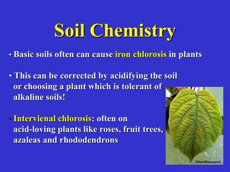 environmental soil chemistry ppt
