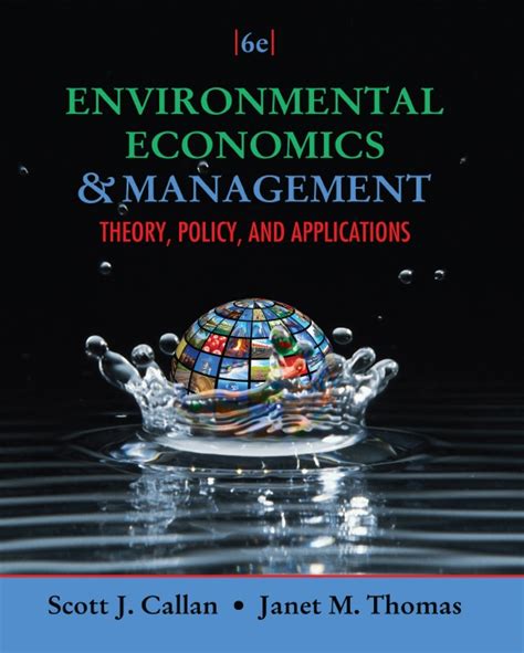 Read Online Environmental Economics And Management Theory 