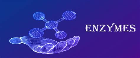 enzym