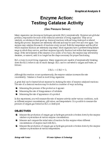 Enzyme Action Testing Catalase Activity Lab Answers