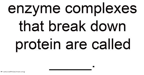 Enzyme Complexes That Break Down Protein Are Called