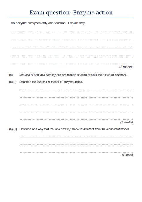 Enzyme Engineering Exam Questions
