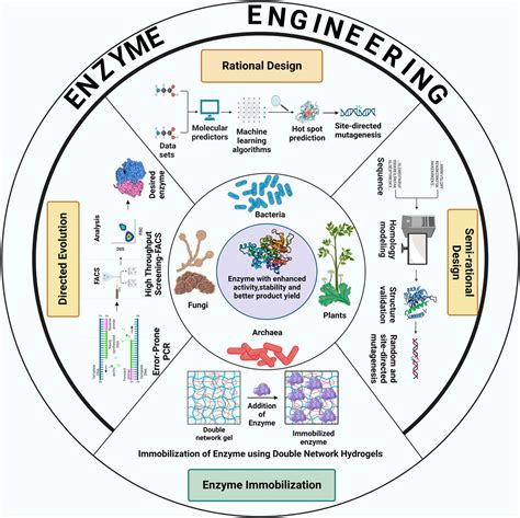 enzyme engineering technology by palmer