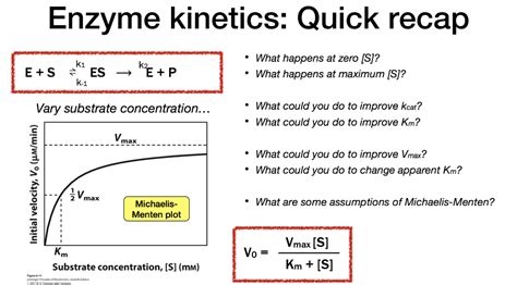 Enzyme Kinetic Problems And Solutions