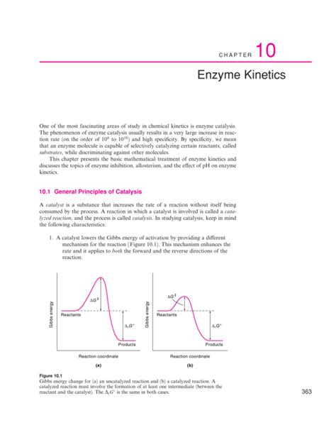 Full Download Enzyme Kinetics Columbia University Bursa Best Books Free 