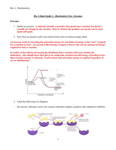 Read Online Enzymes Study Guide Answers 