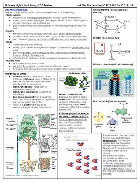 eoc organic molecules review